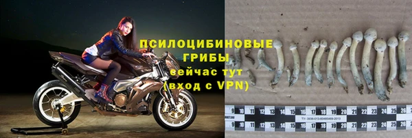 a pvp Армянск