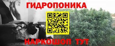 твердый Краснодар