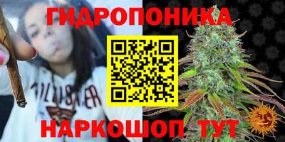 твердый Краснодар