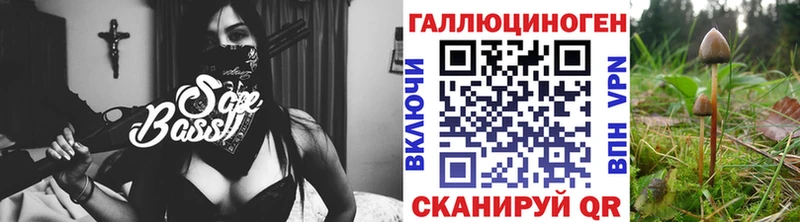 Псилоцибиновые грибы мицелий  Заинск 
