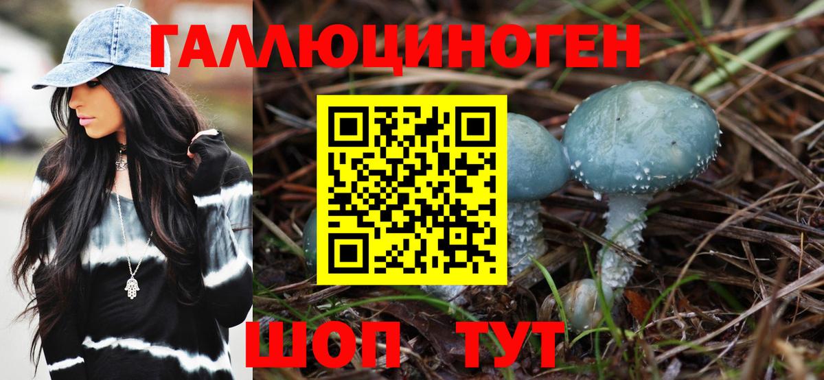 Заинск  Псилоцибиновые грибы MAGIC MUSHROOMS  Вход с VPN  Псилоцибиновые грибы Cubensis 
